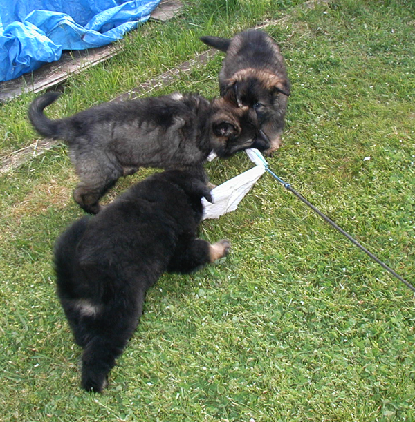 Mindy, Milo and Marek
