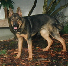 Berresnicka at 7 mos_220w