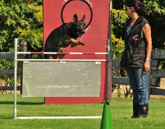 Caleb training for ring 1 Sept 10 2011