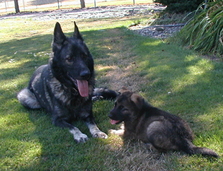 Dany with Porsche @ 5 wks