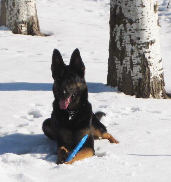 Eina at 3 years_in snow at Martinas