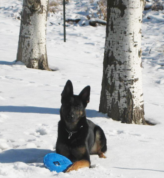 Eina in snow_3 yrs at Martinas