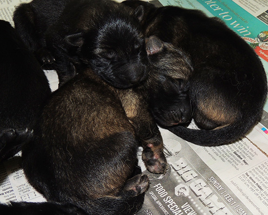 Ester Grim W 24 hr Newborns 3