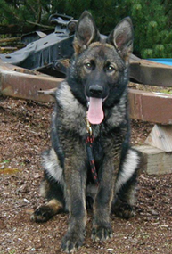 Etta 6.5 mos_females