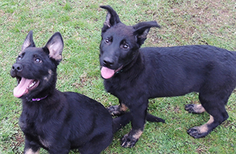 Hadelka and Sister Hanya at 3.5 mos