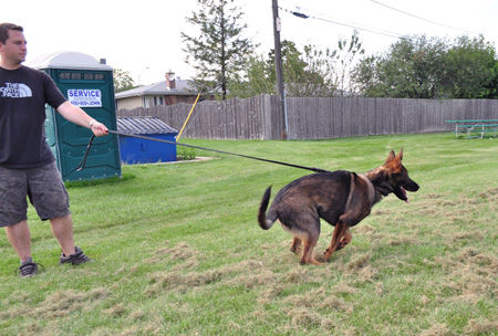 katoHawk Imprint training