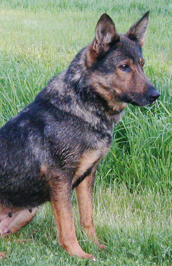 Helga June 2011_2