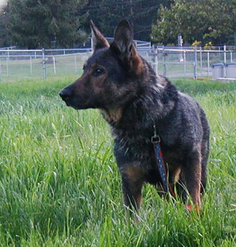 Helga June 2011_1