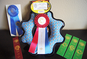 Highest Scoring dog title Rally 4.2015