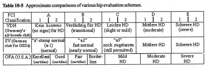 Hip Rating Comparisons per country