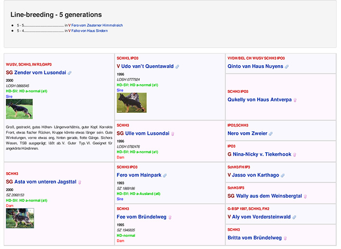 Hurican Pedigree