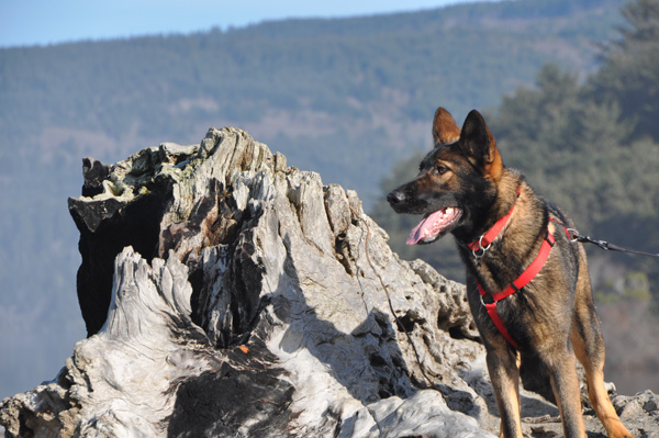 Kendi aka Capi at beach