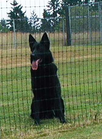 Leyna sitz 16 mos