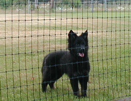 Monte 14 wks