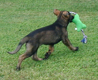 Nadia with toy 1