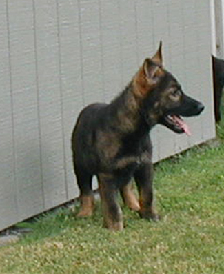 Nadia stand_side 11 wks