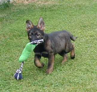 Nadia with toy 2