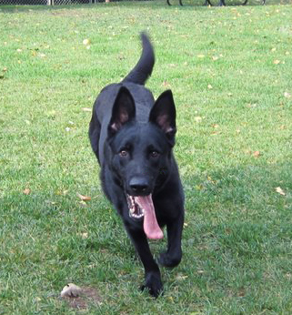 Natasha 1st day at Melindas