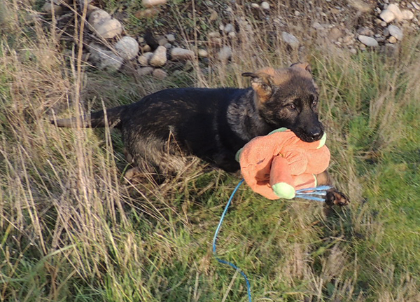 Oskar 12 weeks
