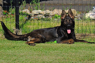 Phyre 5 mos 6