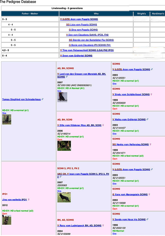 Liititer Pedigree_jina x tomas 1