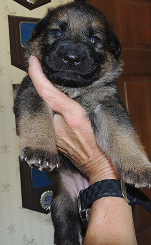 Biehla Gerry Female Selfie at 18 days old