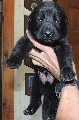 Biehla Gerry Male Selfie at 18 days old