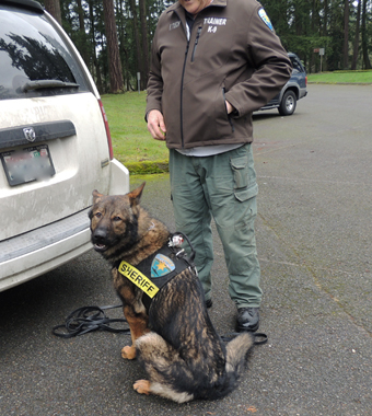 Sarge_Preparing to begin the track