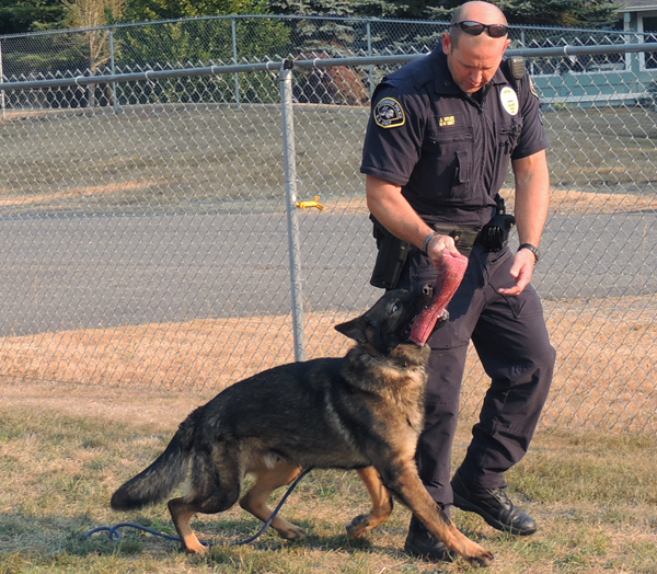 Sarge and Jim playtime 3