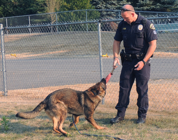 Sarge and Jim playtime 4