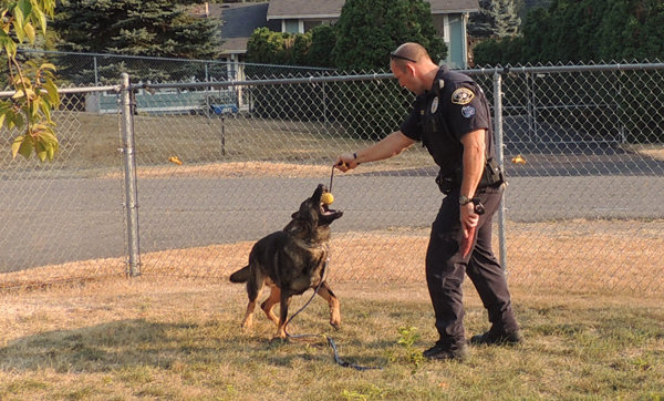 Sarge and jim playtime 1