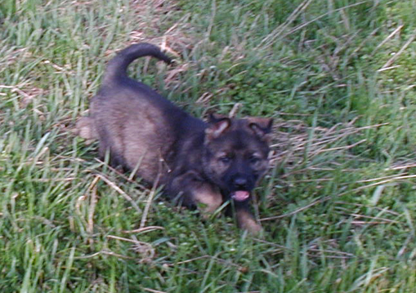 Tatia 6.5 wks