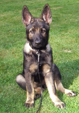 Tia at 3.5 mos