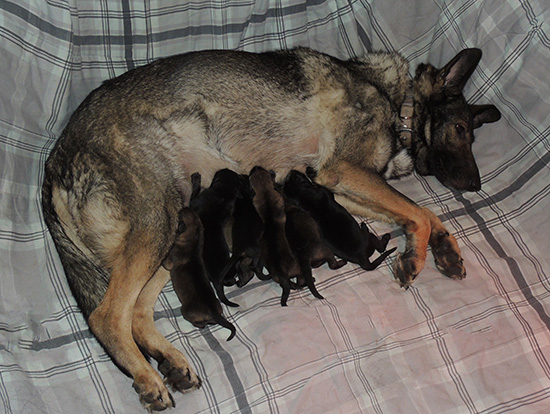 Trina Hurican F Litter 24 hrs 1