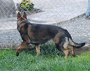 Wruschka 17 mos 