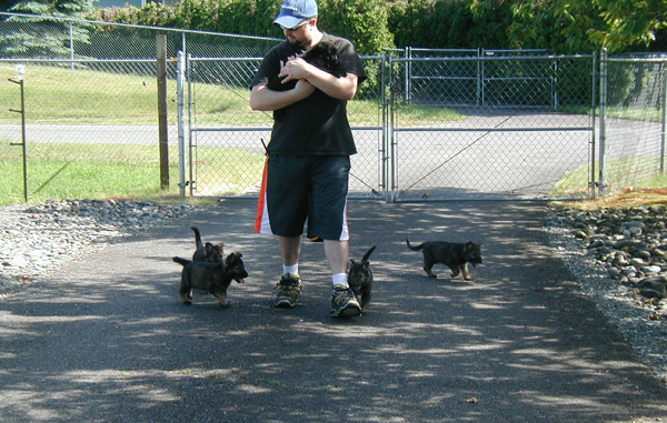 Y Litter_walk to gate w Dave