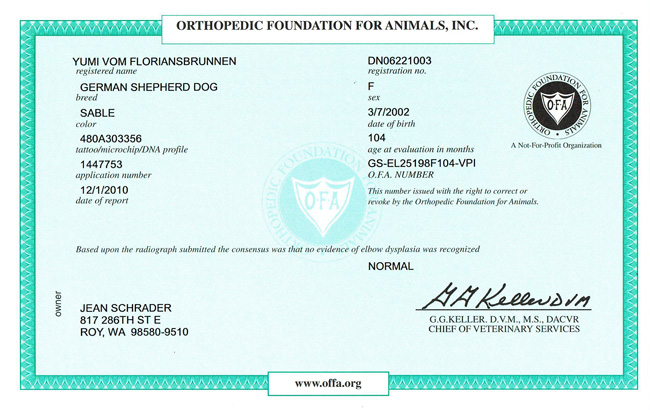 Yumi OFA - HD Normal Certificate