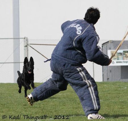 Ju Rondo Brevet Trial Feb 2012