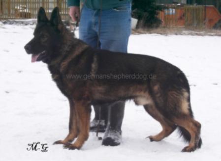 Small picture of V Arek von uns Heimaturt