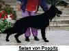 Small picture of  Satan vom Poppitz