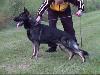 Small picture of V Lynch vom Theiles-Hof