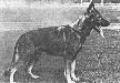 Small picture of Anet vom Seeschlchen