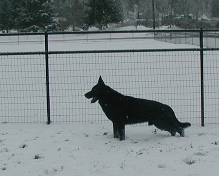 Argo stack snow
