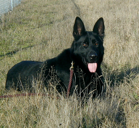 Argo Platz 24 mos