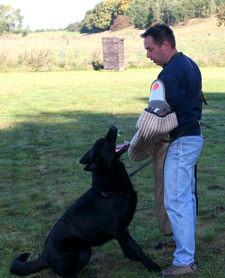 Argo_training