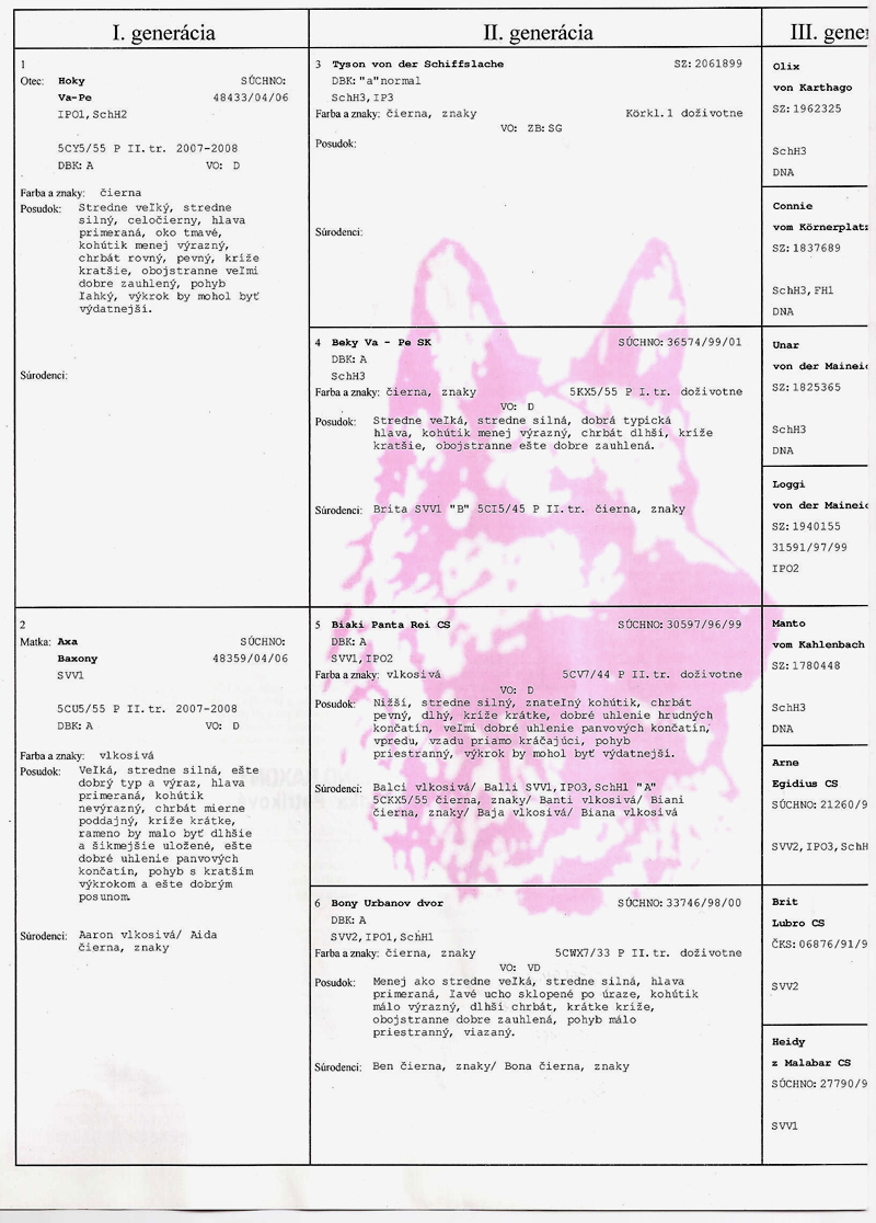Car_Pedigree