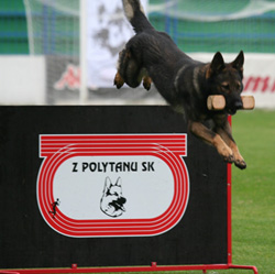 CatoCompetes1