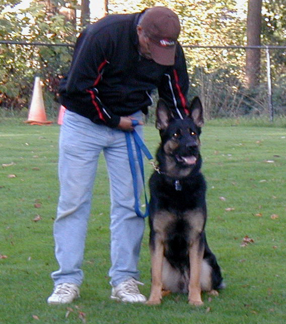 Ubet Samson 11 mos