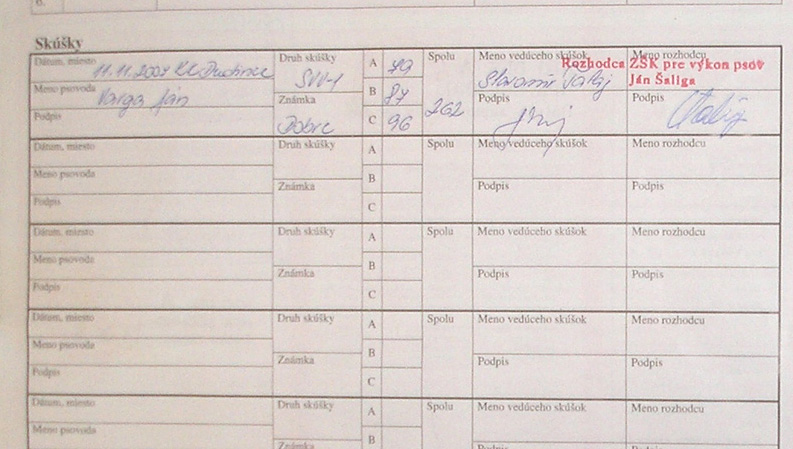 Dadas Scores_SVV1