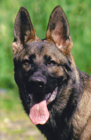 Grady Head_6 mos